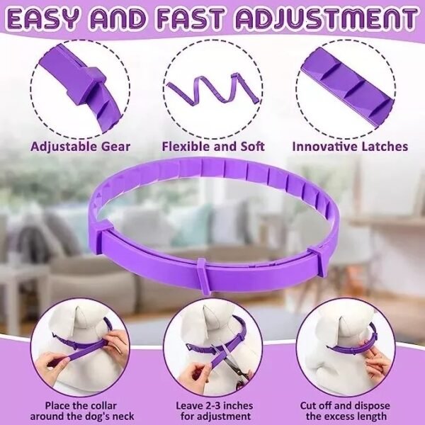 Collar Relajante con Feromonas – Tranquilidad Natural para tu Mascota