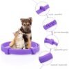 Collar Relajante con Feromonas – Tranquilidad Natural para tu Mascota