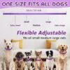 Collar Relajante con Feromonas – Tranquilidad Natural para tu Mascota